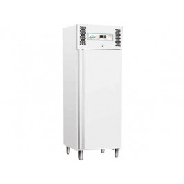 CONGELATORE STATICO 600 LT IN LAMIERA VERNICIATA G-GNB600BT